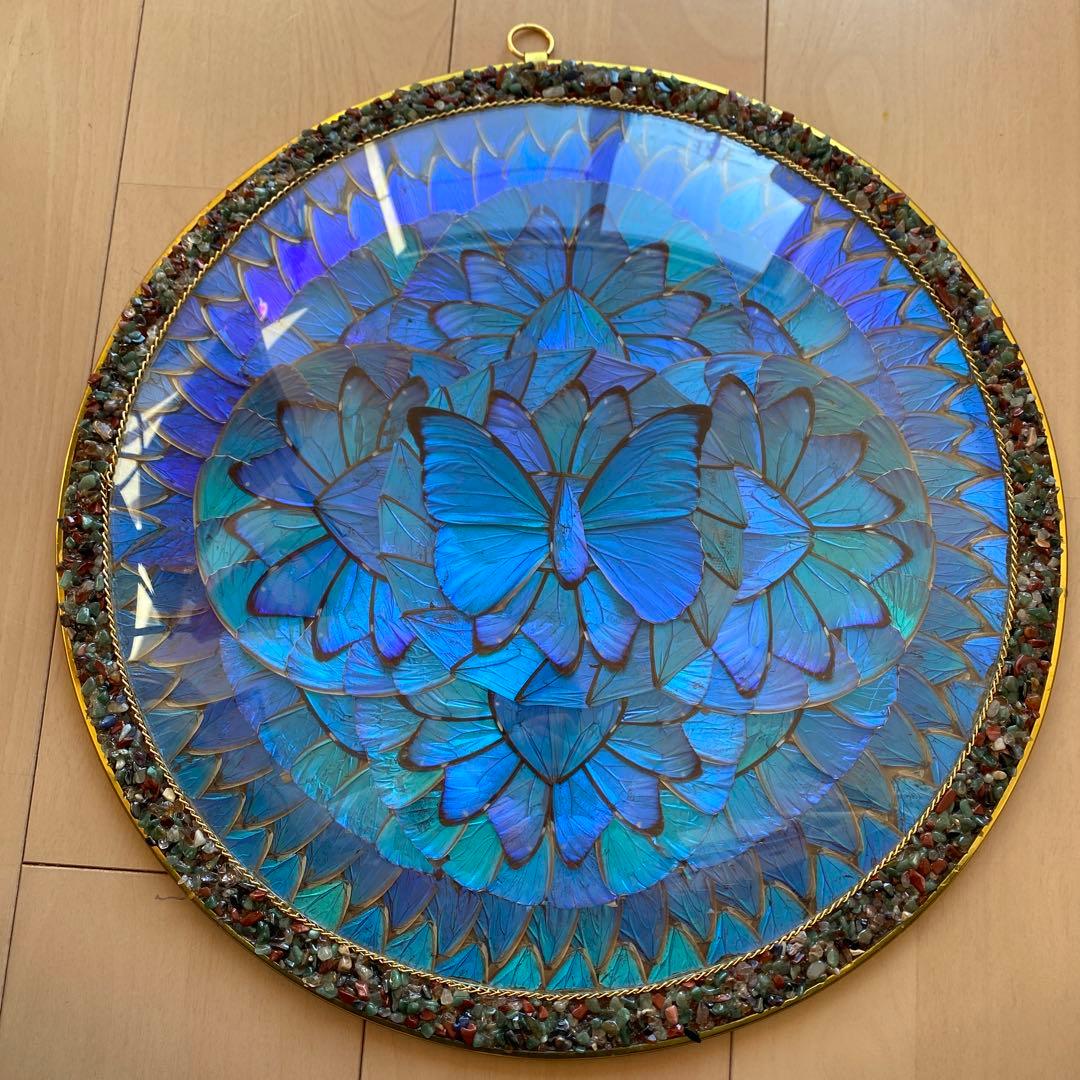 【ブラジル産】アンティーク モルフォ蝶 剥製 オブジェ 壁掛け