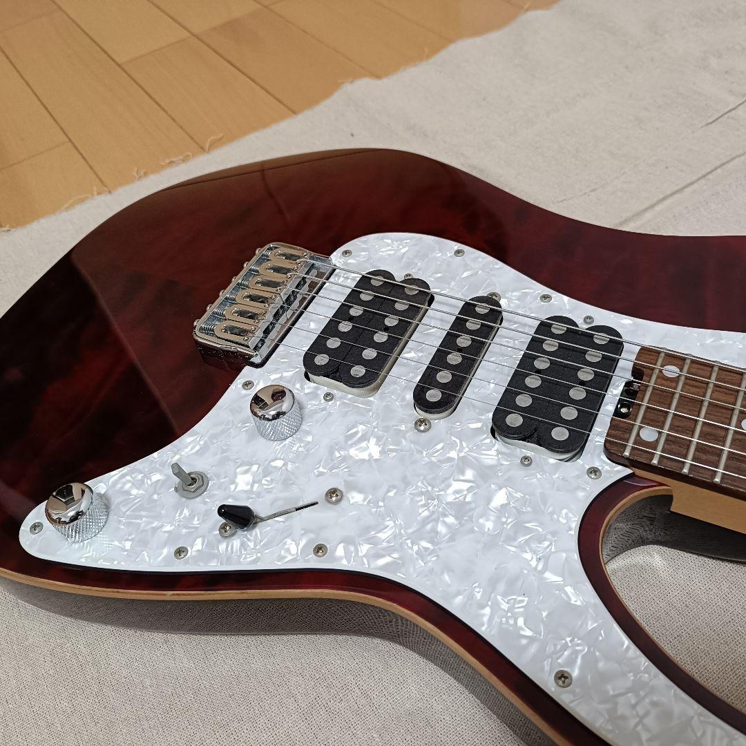 【引き取り限定】SCHECTER SD-2-24-AL カスタム シェクター
