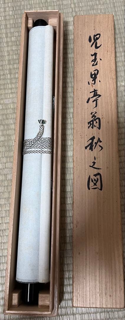 掛け軸　児玉果亭 絵［鴨ノ図］紙本　木箱付！