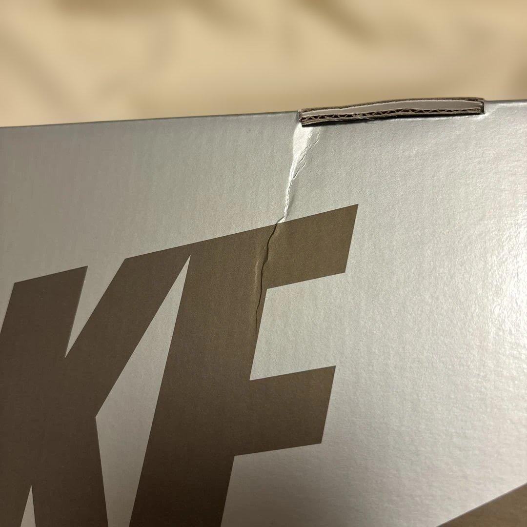 MEDICOM TOY×NIKE SB REESE FORBES フィギュア限定