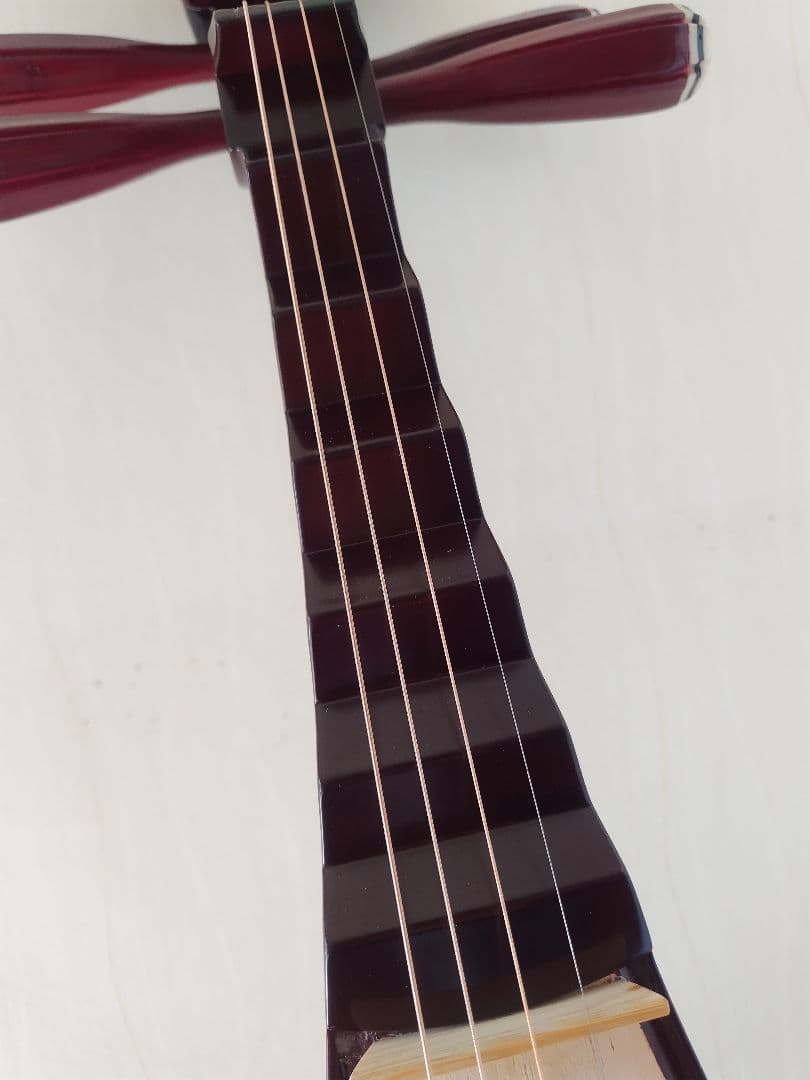 中国琵琶、ケース、弦、DVD