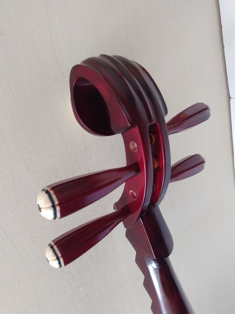 中国琵琶、ケース、弦、DVD