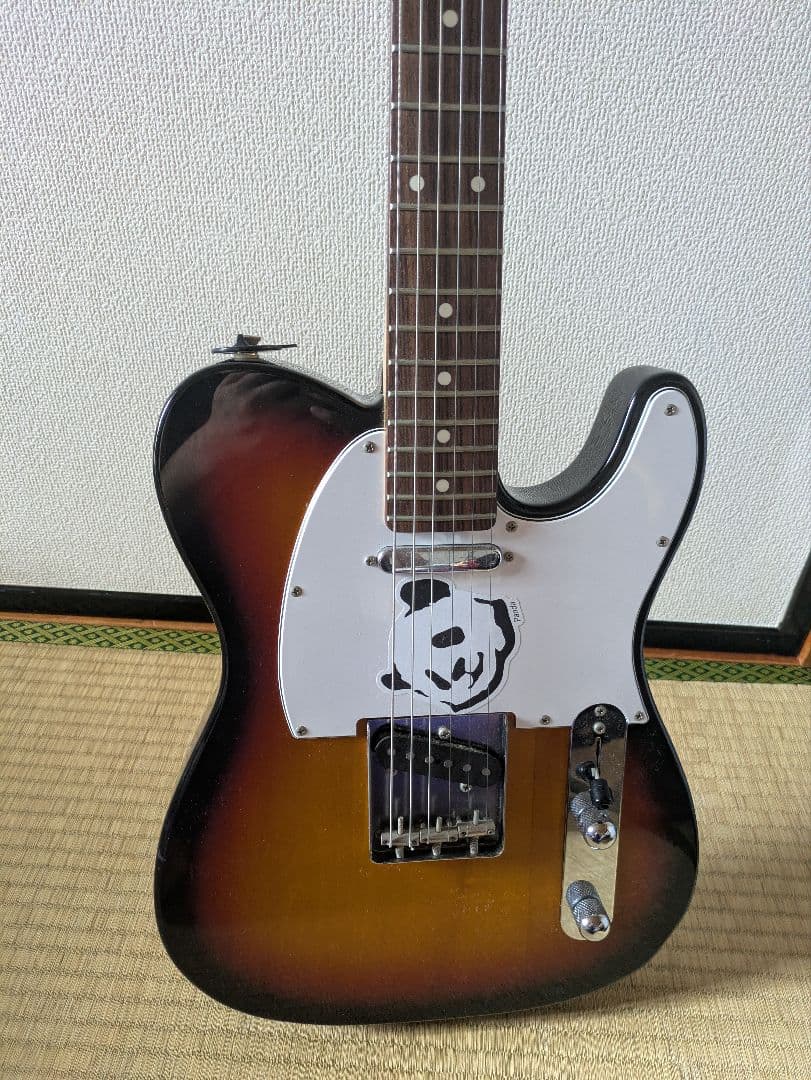 ギター FUJIGEN JTL-5R