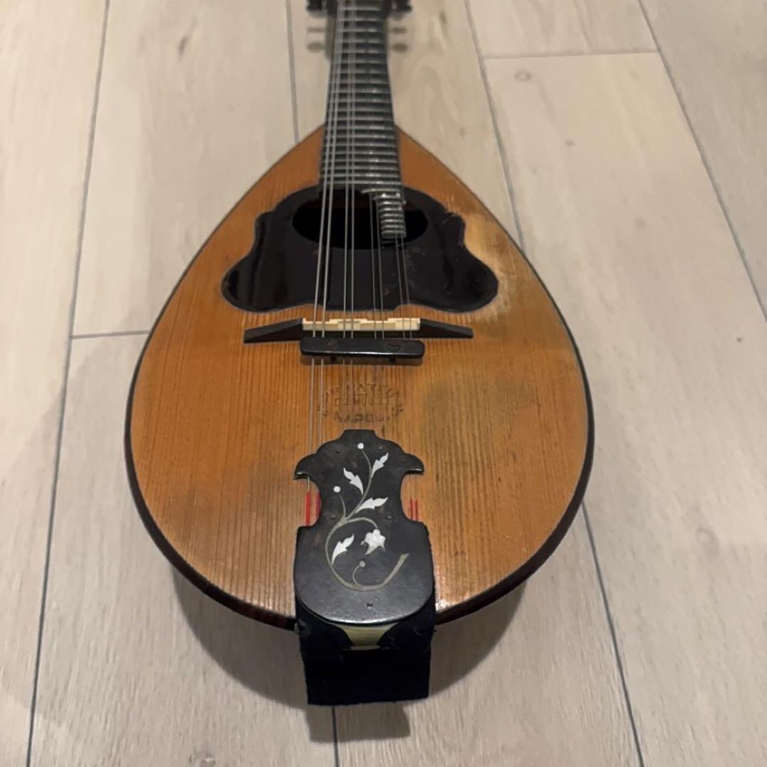 弦楽器 FORNITORI DELLA REAL CASA