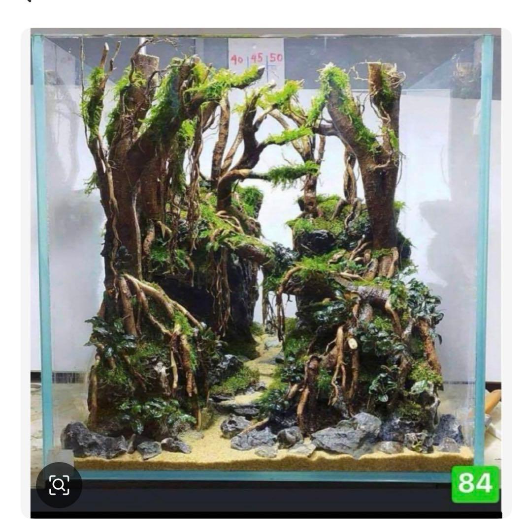 TTD 【⭐︎ k.k様⭐︎】【美品・数量限定】