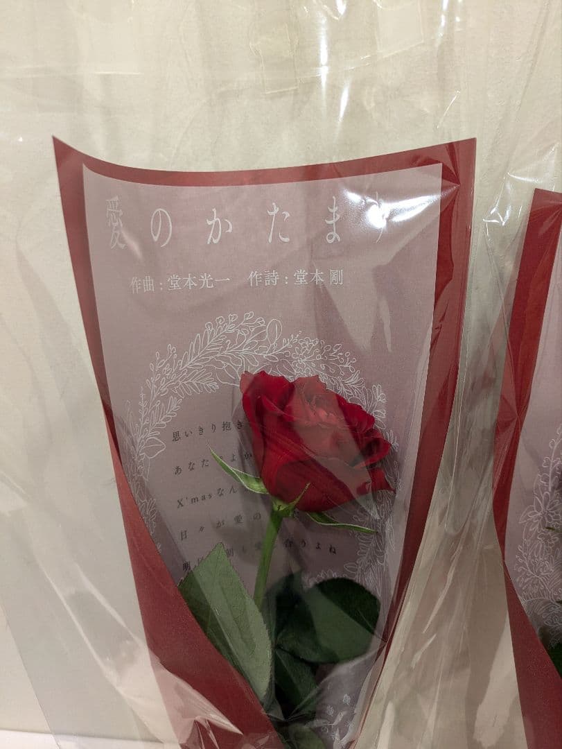 DOMOTO POP-UPイベント配布品