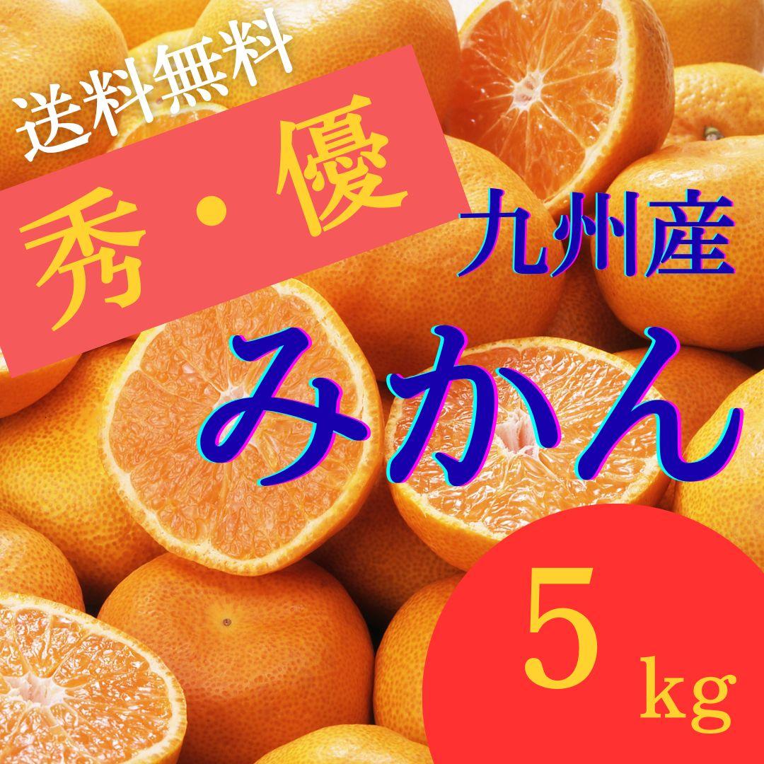 にゃんこ様用 送料無料 秀品優品 温州みかん 5kg ×4箱セット 綺麗なみかん