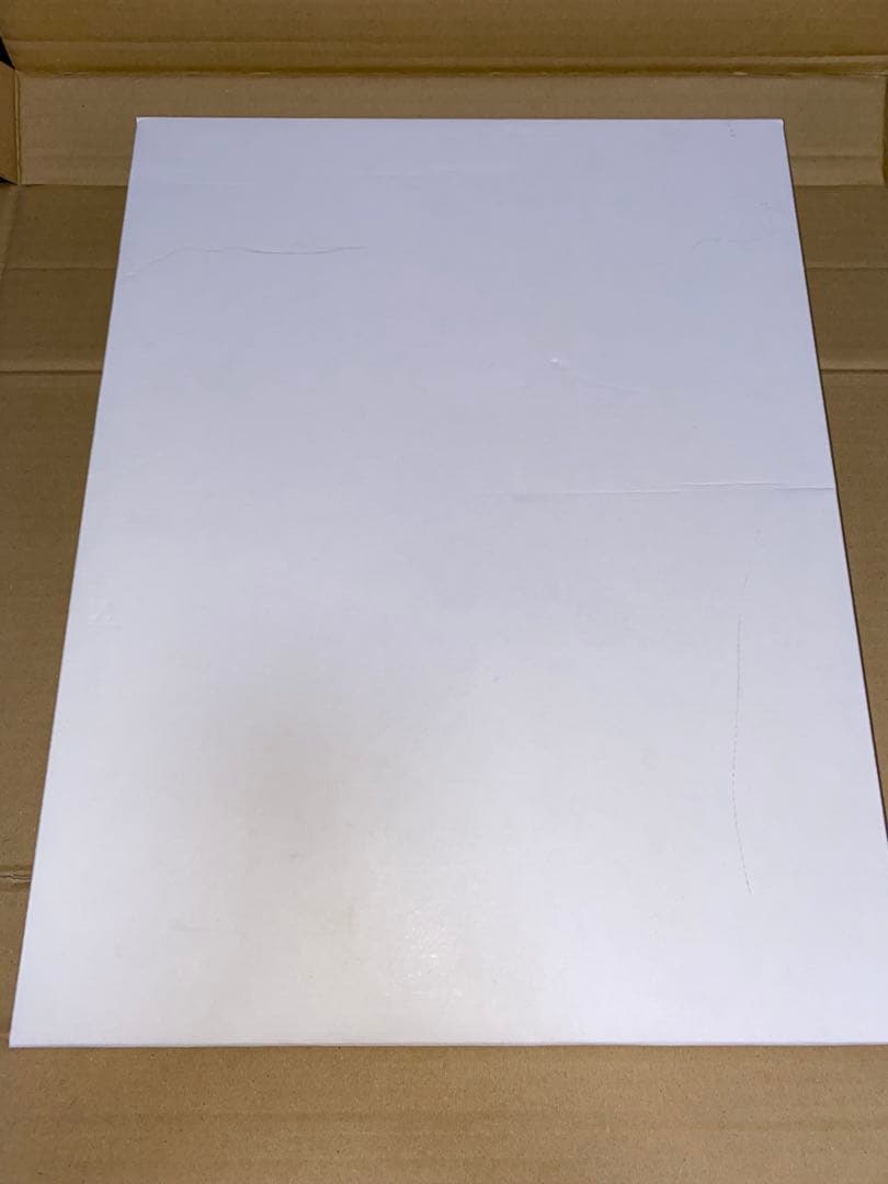 ブルーアーカイブ　額装イラスト　陽ひらく彼女たちの小夜曲