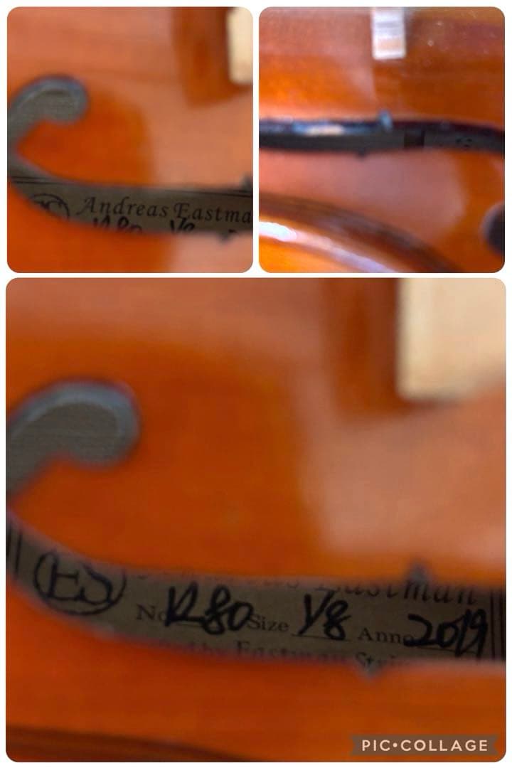 アンドレアイーストマン　バイオリン　VL80 　1/8 2019