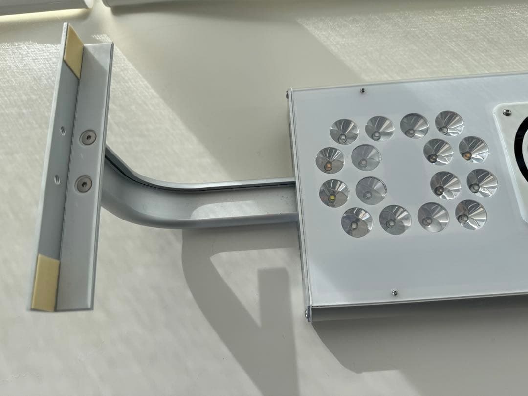 Grassy Core Reef 海水 サンゴ LEDライト ボルクスジャパン