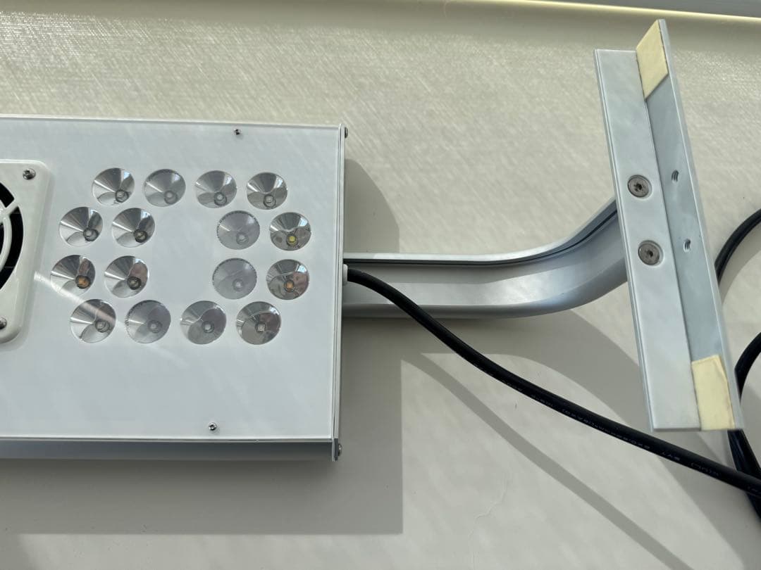 Grassy Core Reef 海水 サンゴ LEDライト ボルクスジャパン