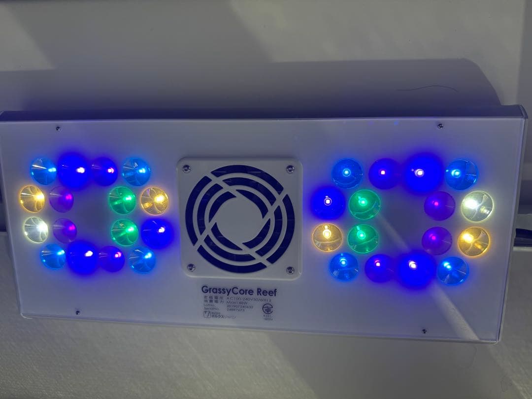 Grassy Core Reef 海水 サンゴ LEDライト ボルクスジャパン