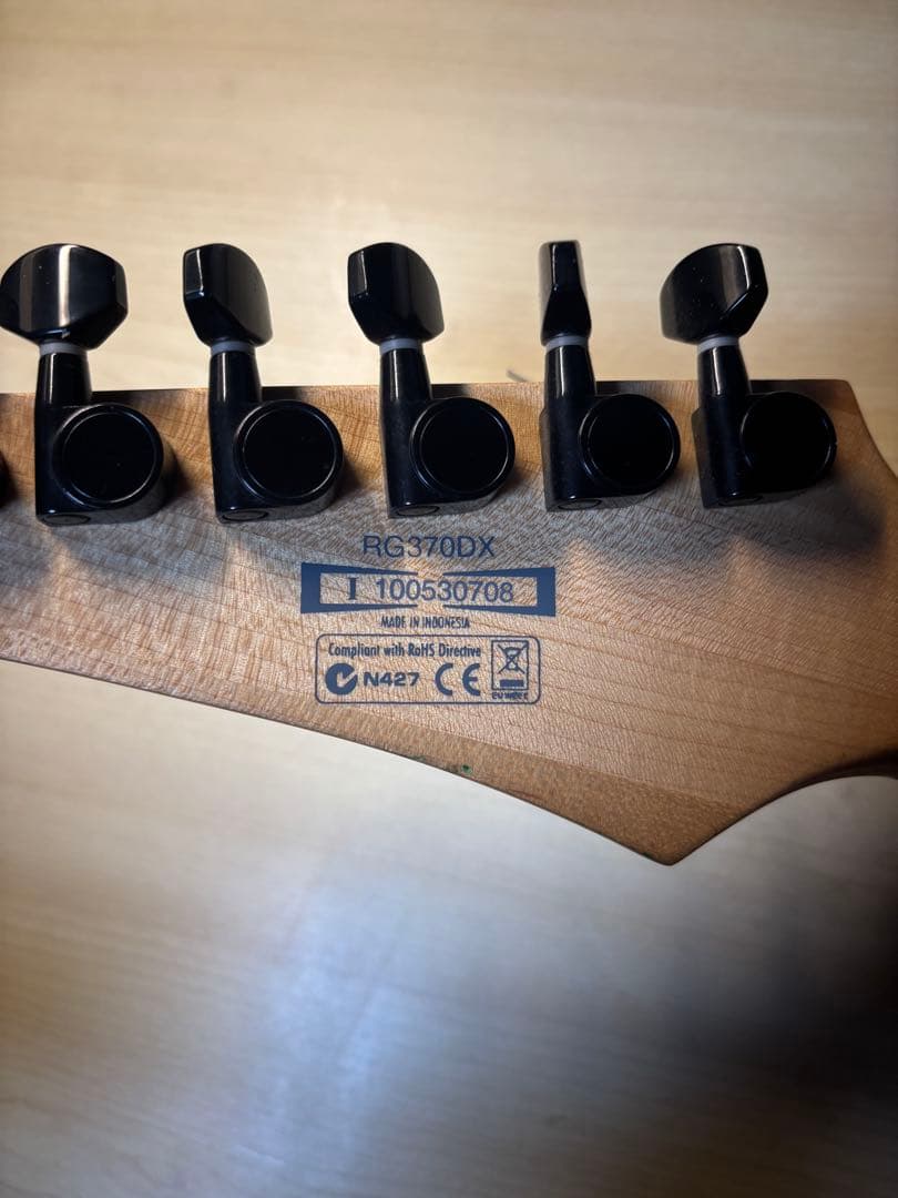 Ibanez RG370DX　ソフトケース付き