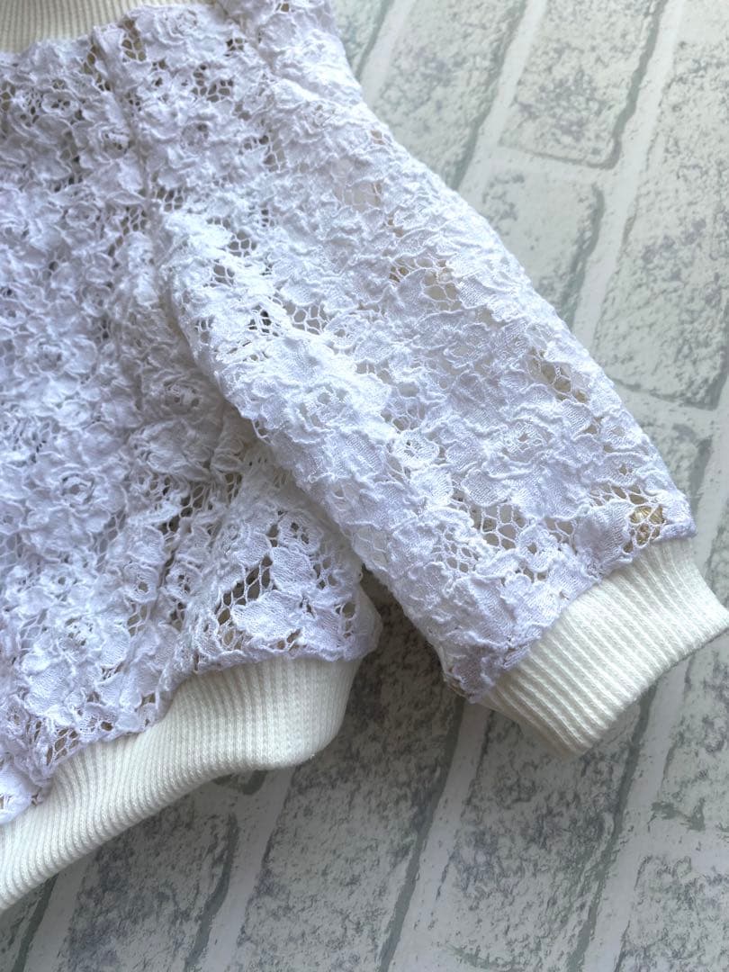 犬服 ラグラン(M) ꒡̈⃝Lily꒡̈⃝ハンドメイド