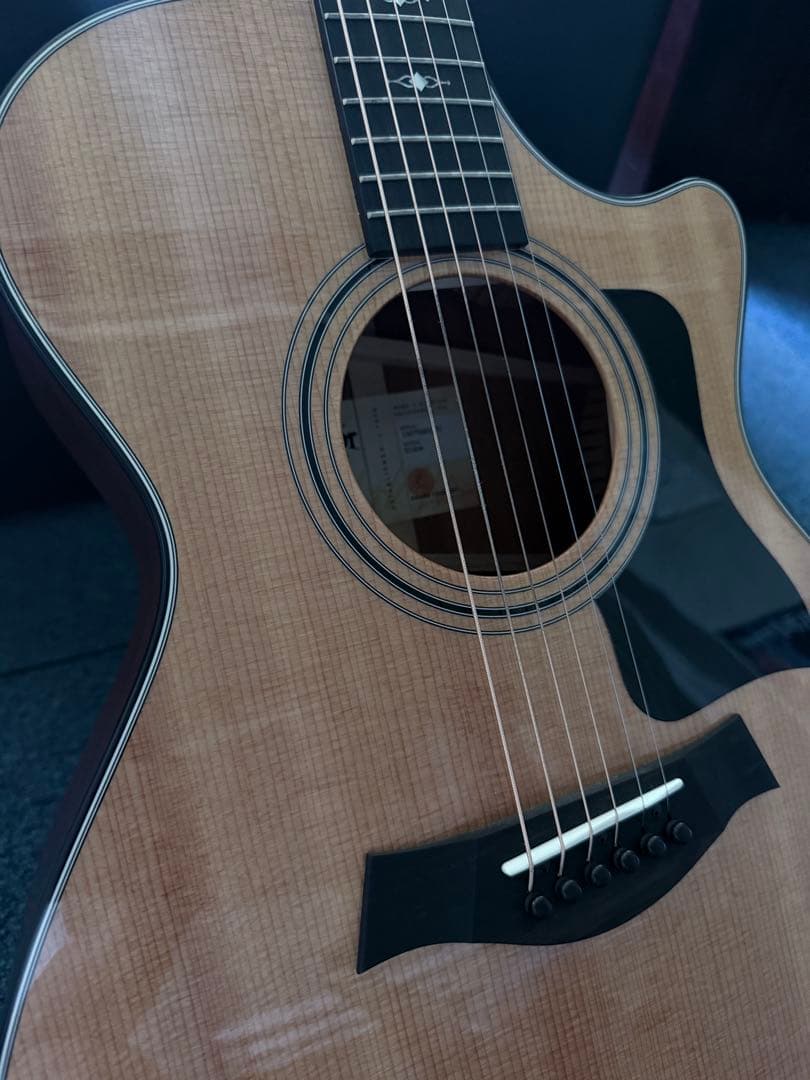 ギター Taylor 312 ce v class