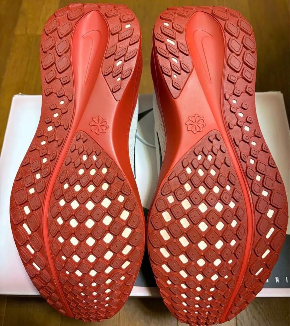 ナイキ ペガサス41 キプチョゲ NIKE Pegasus41 ek 27cm