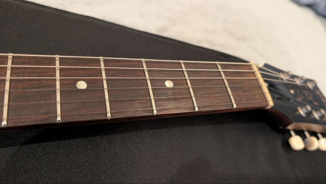 Gibson　Les Paul Special Tribute DC　希少モデル