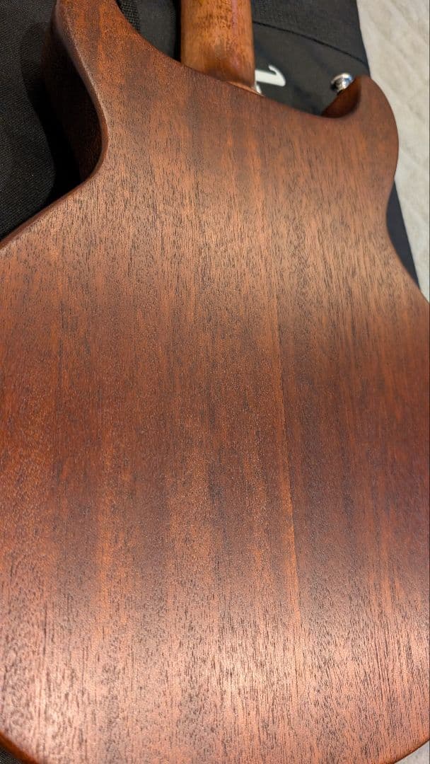 Gibson　Les Paul Special Tribute DC　希少モデル