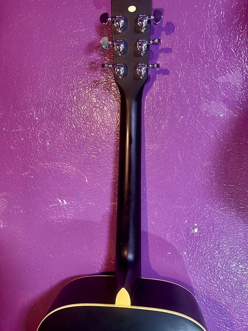 Stafford スタッフォード SF-300D-BLK エレアコギター