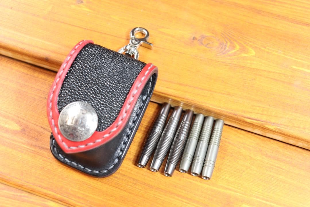 ☆スティングレーダーツケース　 バレル6個☆