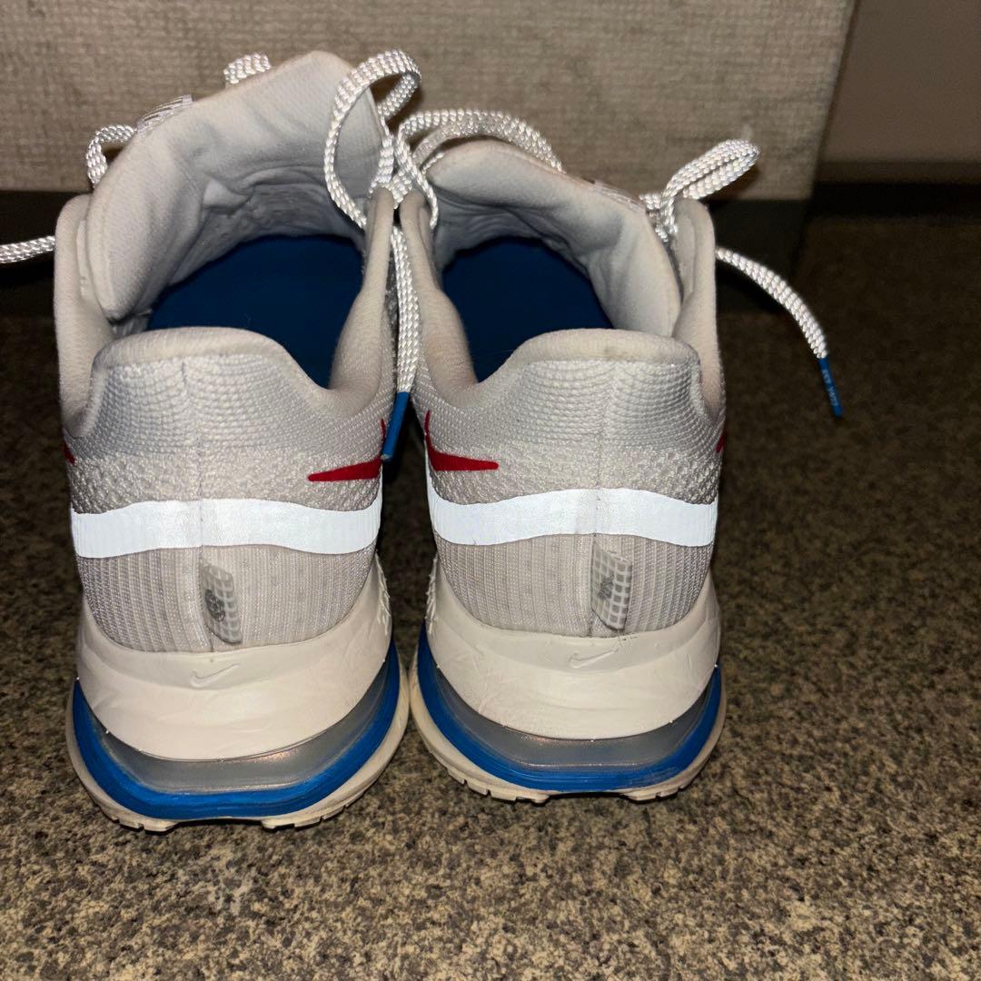 ナイキペガサスプレミアム 26cm