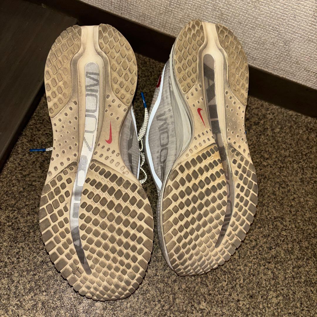 ナイキペガサスプレミアム 26cm