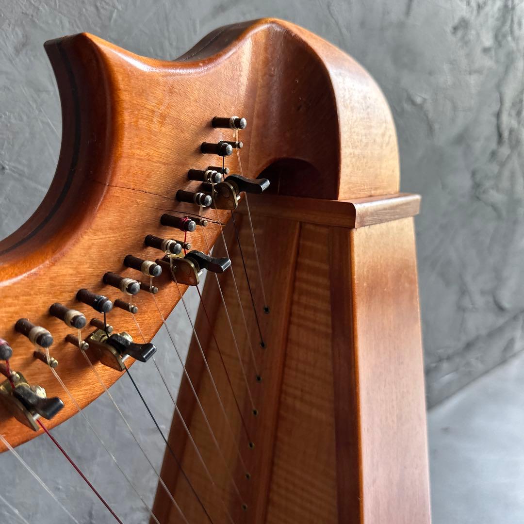 明日削除❣️ハープ22弦　弦たくさんついてます！中古