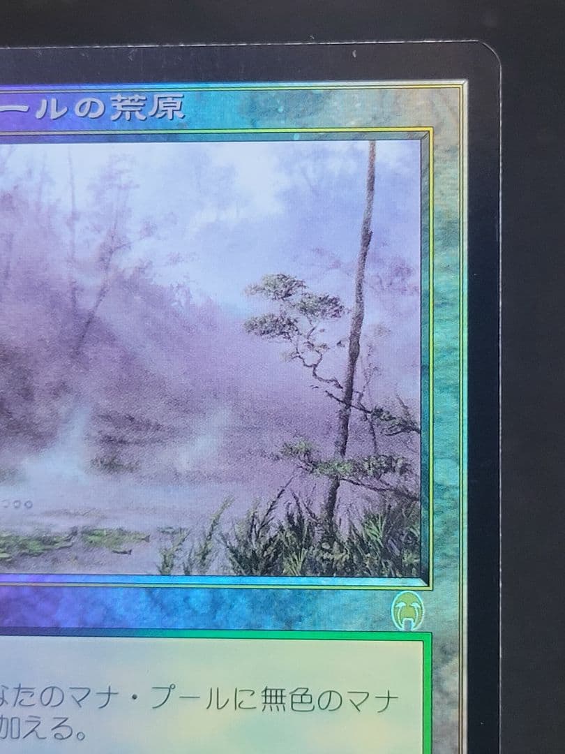 ラノワールの荒原/Llanowar Wastes　APC 日本語版 foil