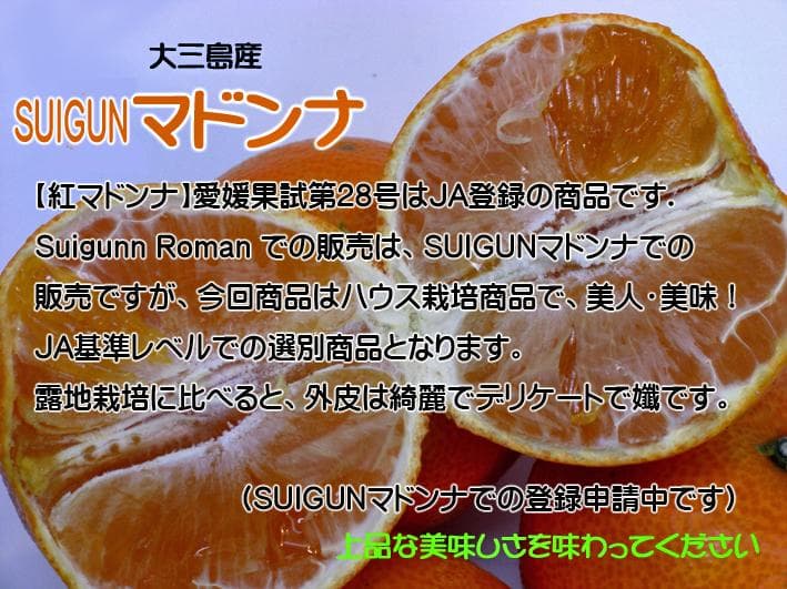 【りょう】SUIGUNマドンナ 4か所お届け　別所送り