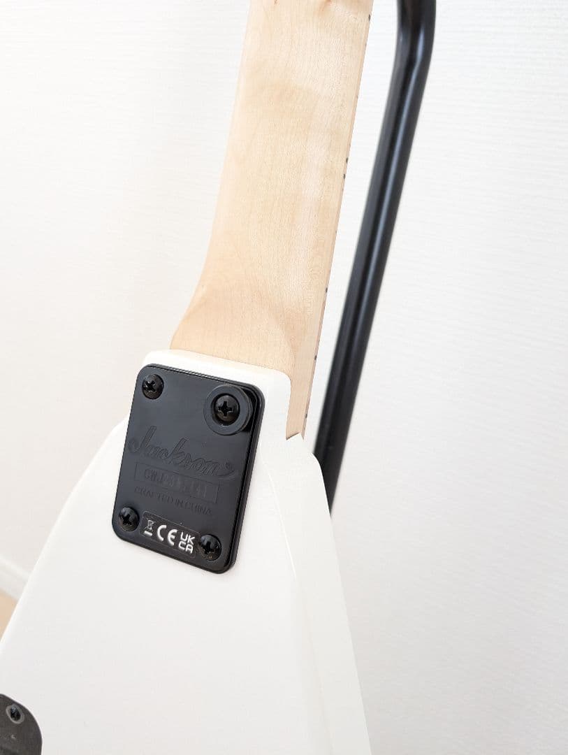 Jackson JS Series JS1XM RR Minion ランディV