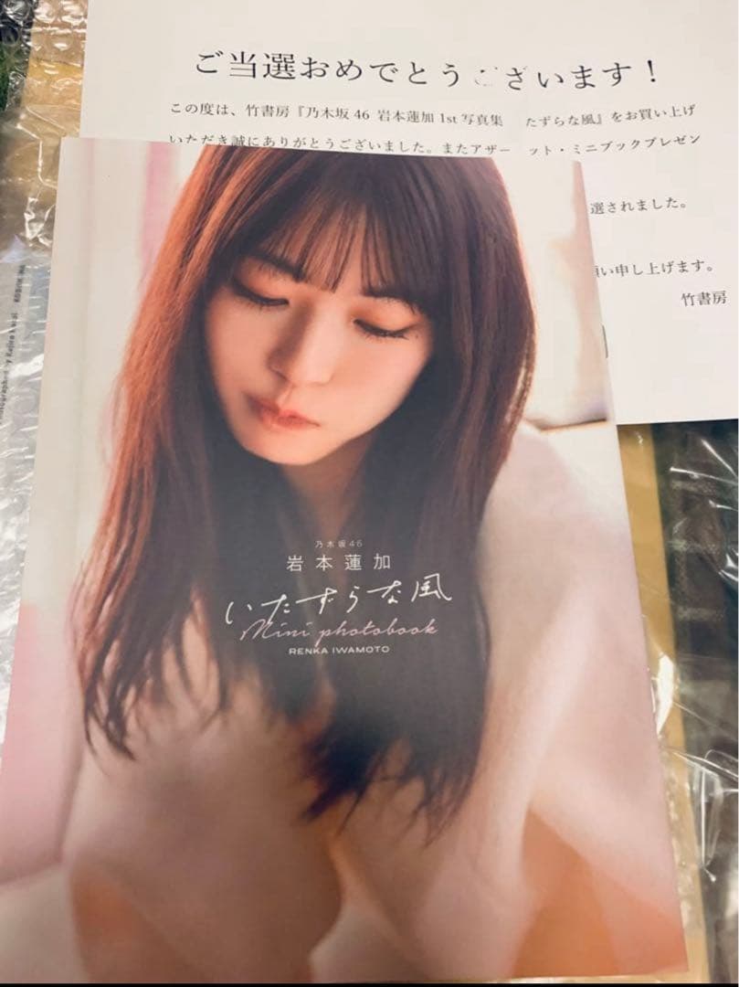 乃木坂46 岩本蓮加 1st写真集 『いたずらな風』抽選ミニブック※当選通知書付