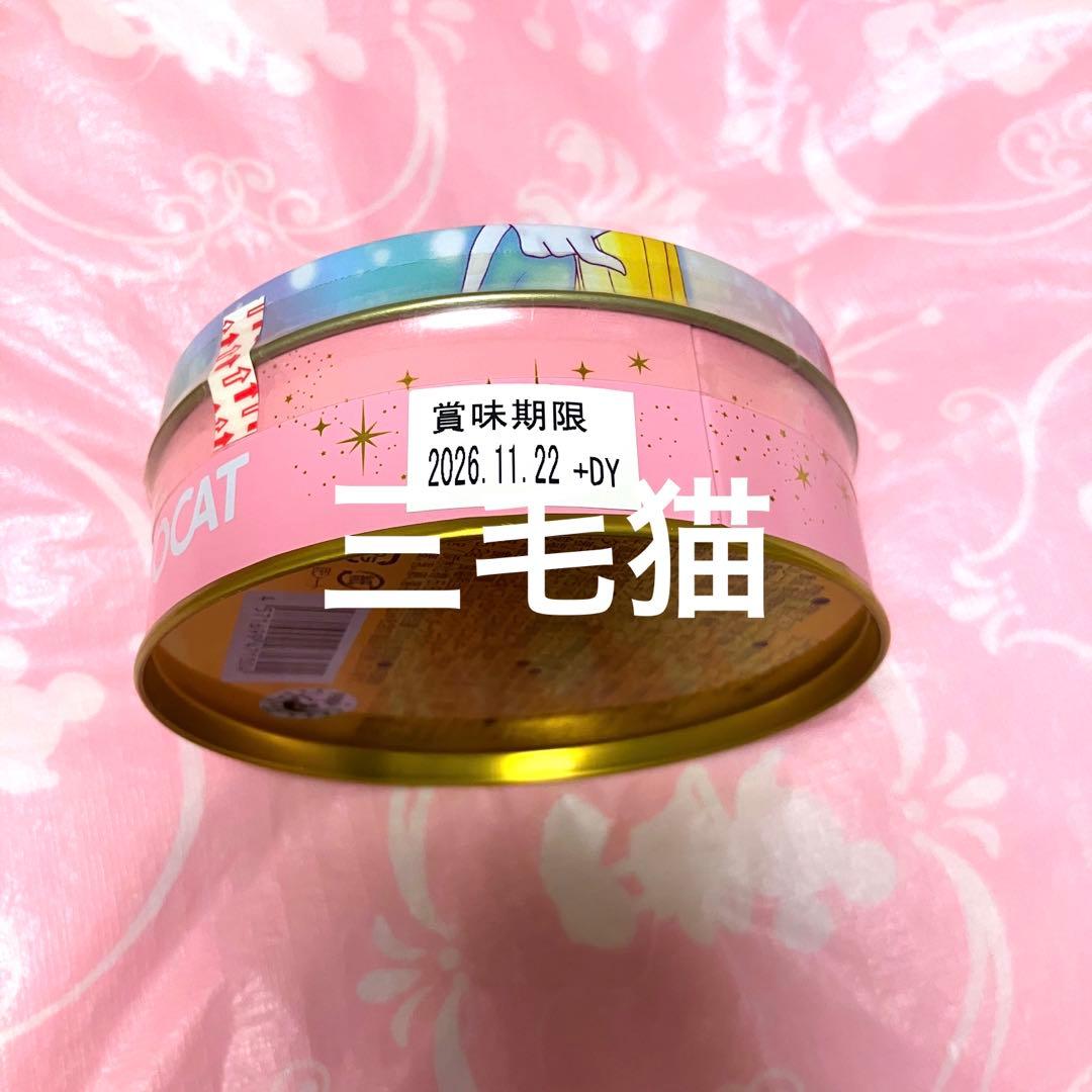 セーラームーン CACAOCAT カカオキャット 缶 コンプリート チョコ