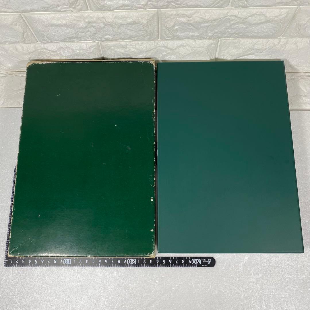 〈KATO〉10-306　JR東日本スーパーエクスプレスレインボー　7両セット