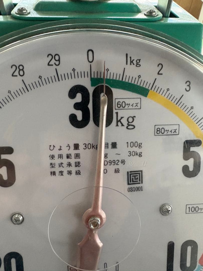 信州産松茸　若干訳あり300g