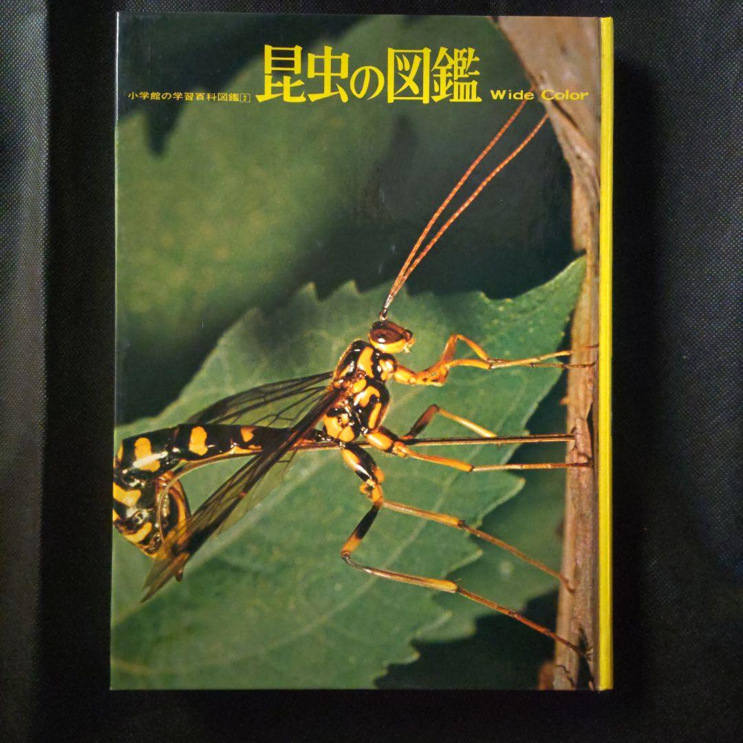 昆虫図鑑付録未使用折りたたみポスター 付海外カブトムシ＆クワガタ昭和58年当時品