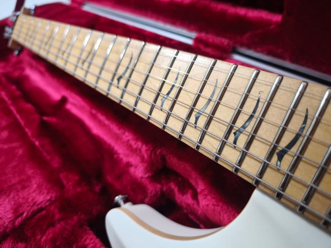 Fujigen Expert Elan ホワイト