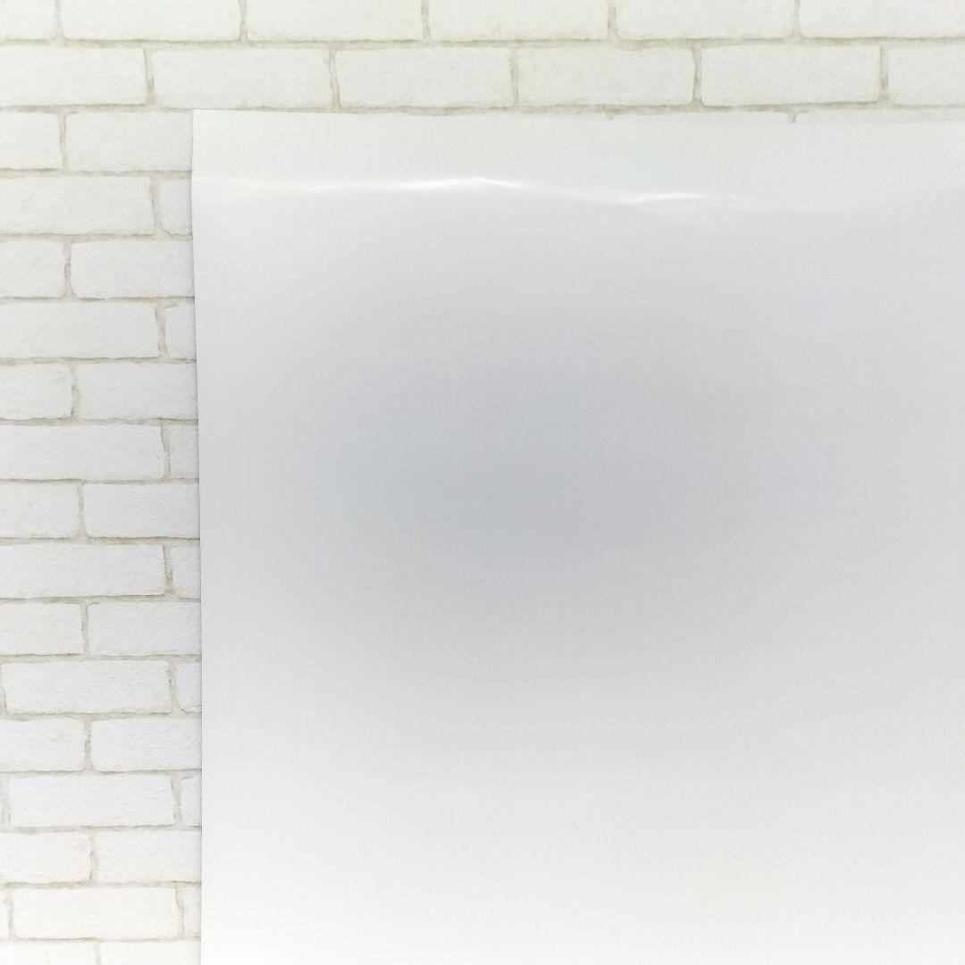 ウォルト・ディズニーワールド 25周年 マジカルイヤーズ 1996年 ポスター