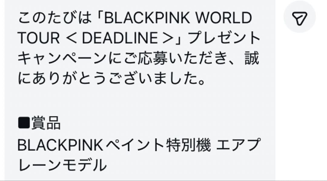 【非売品/当選品】BLACKPINK 大韓航空 特別塗装機 モデルプレーン 模型