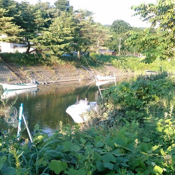 レジャーボート