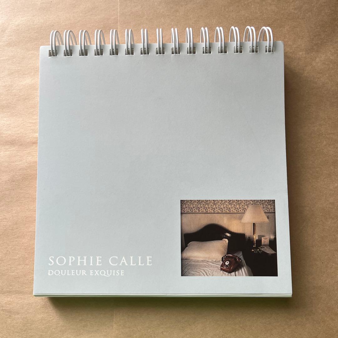 SOPHIE CALLE ソフィ カル　限局性激痛　原美術館　図録