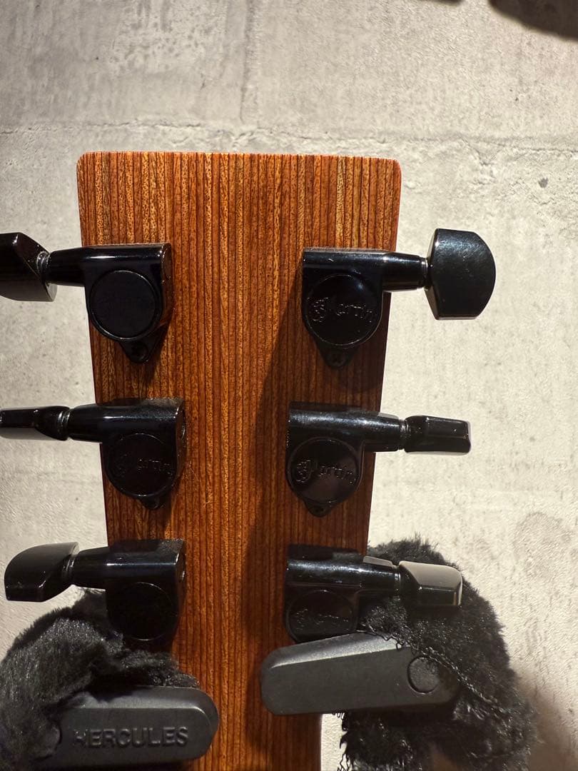 エドシーラン　LX1E signature 調整済み