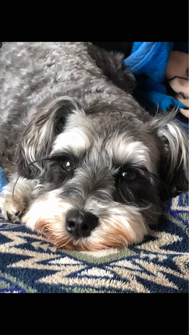 miniさま  確認用　その②