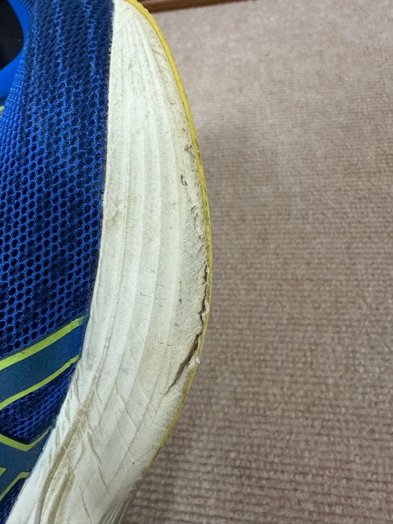 ASICS EVORIDE SPEED 25.5cm ブルー