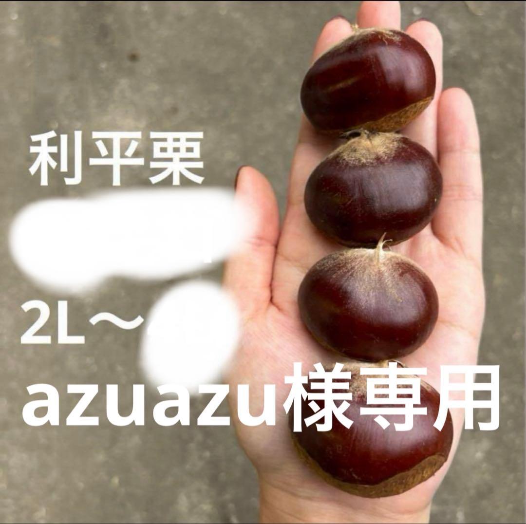 利平栗 10キロ 2L〜専用