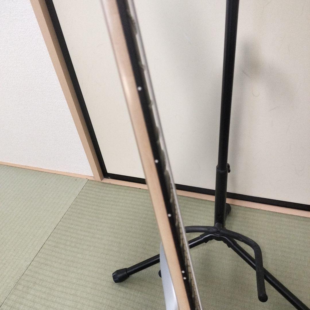 Ibanez RGDMS8（8弦ギター）– 非常に良い状態