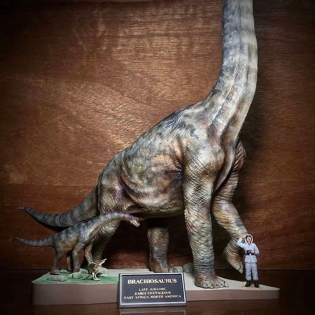 タミヤ ブラキオサウルス 情景セット 完成品！