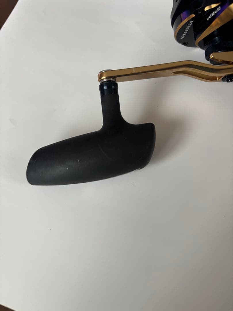 リール SALTIGA IC 300H-SJ