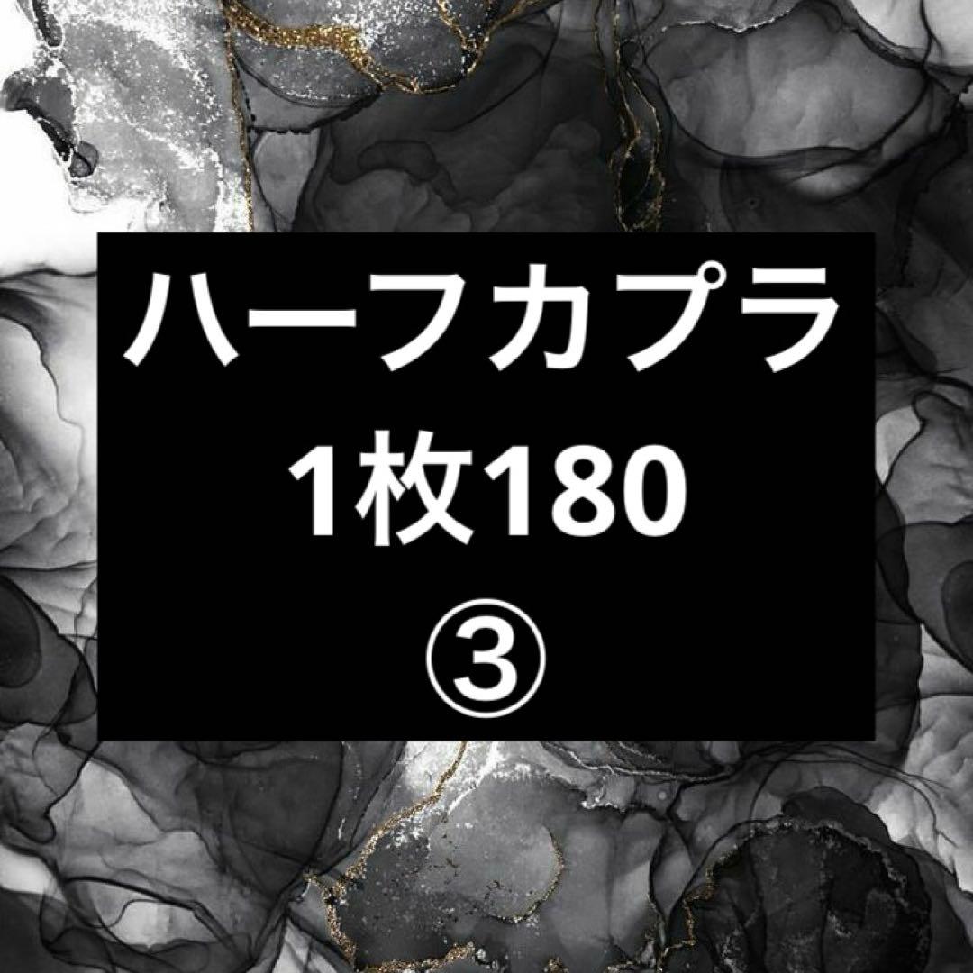 ハーフカプラ ③