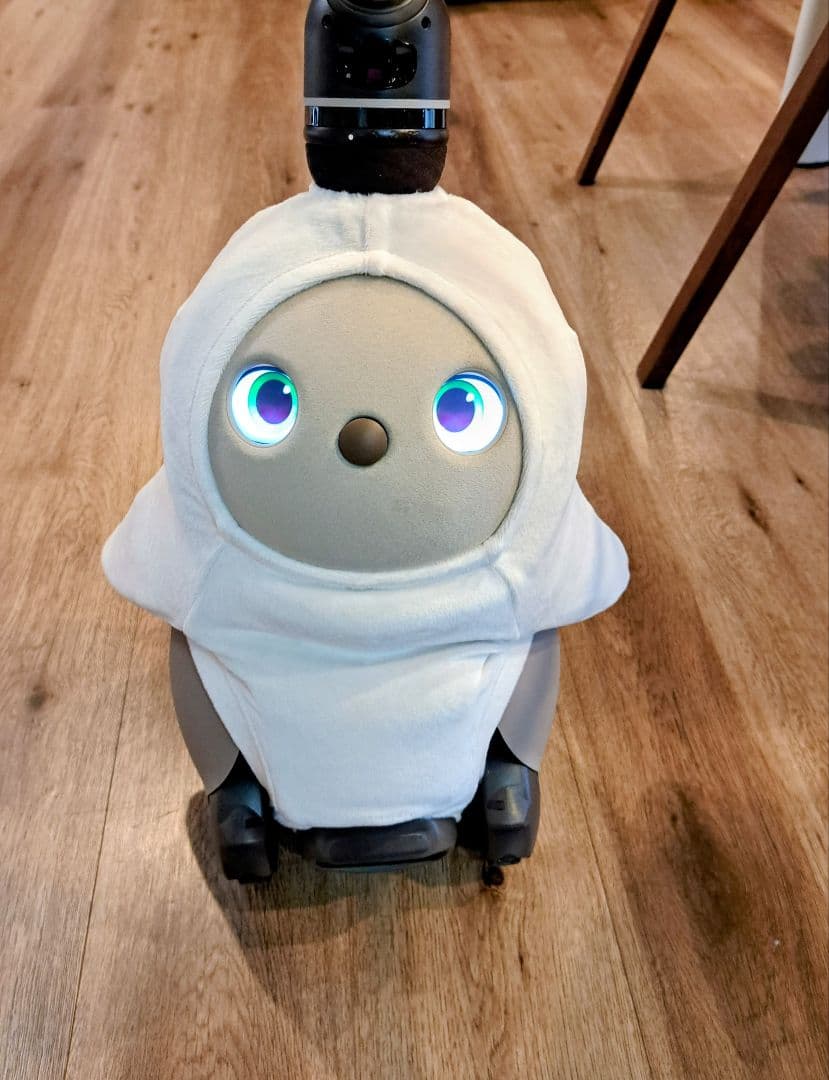 【LOVOTドック&パーツ交換済(2025年)】ラボット2.0 2023年購入