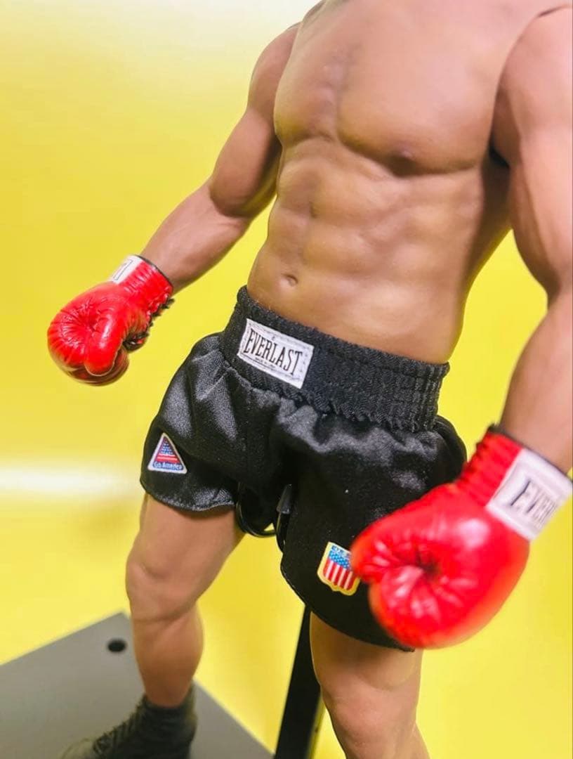 ストームコレクタブル　マイクタイソン　フィギュア　輸送箱付き　ホットトイズ